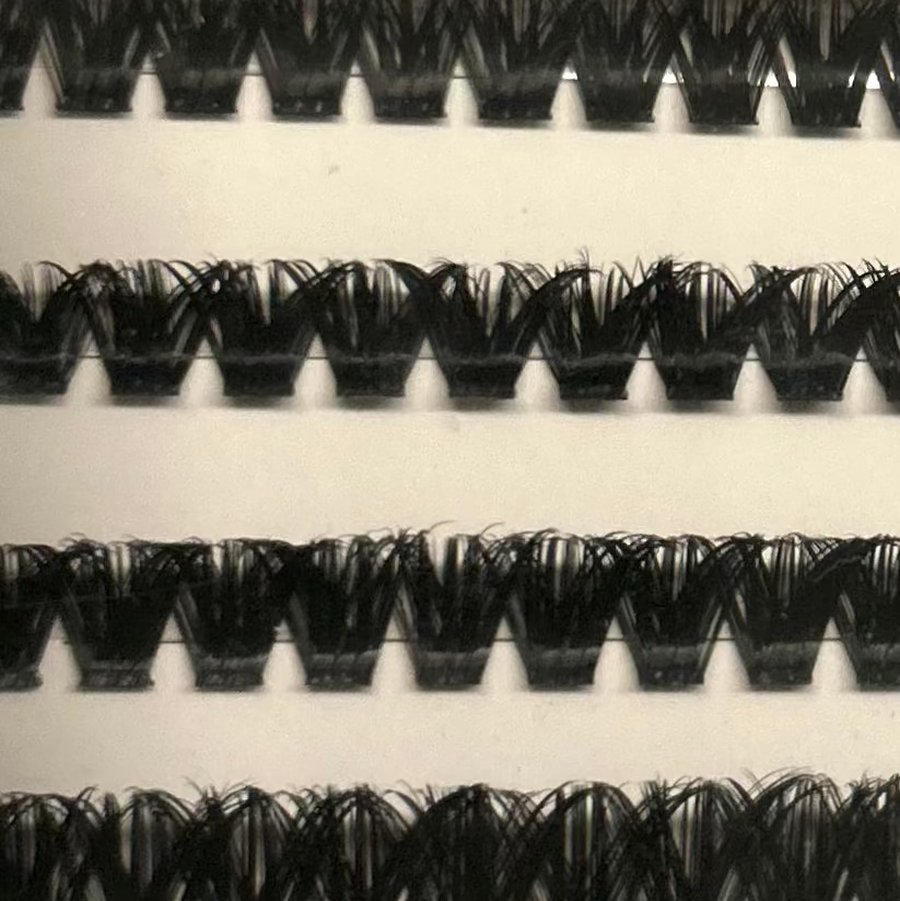 Sasha lash refill