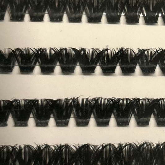 Sasha lash refill